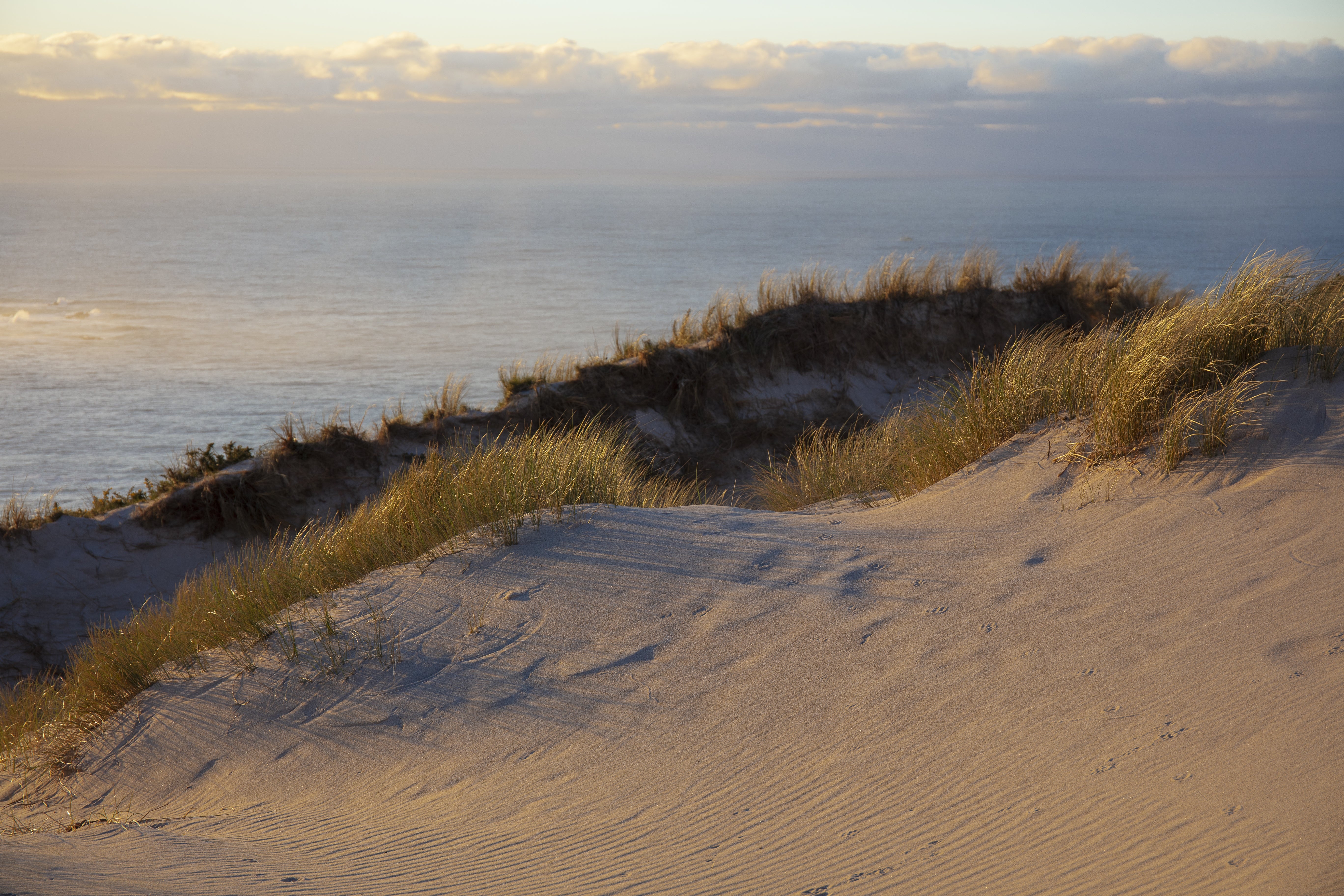 Paysage dune de sable
